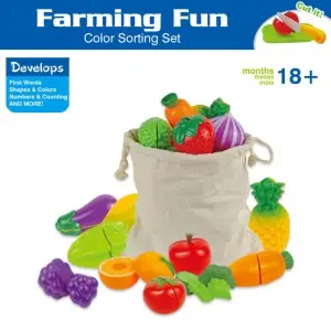 Toddler Color Sorting Learning Kitchen Realistic Play Foods 30pcs Portable Cutting Fruit and Vegetable Toys Set with Storage Bag