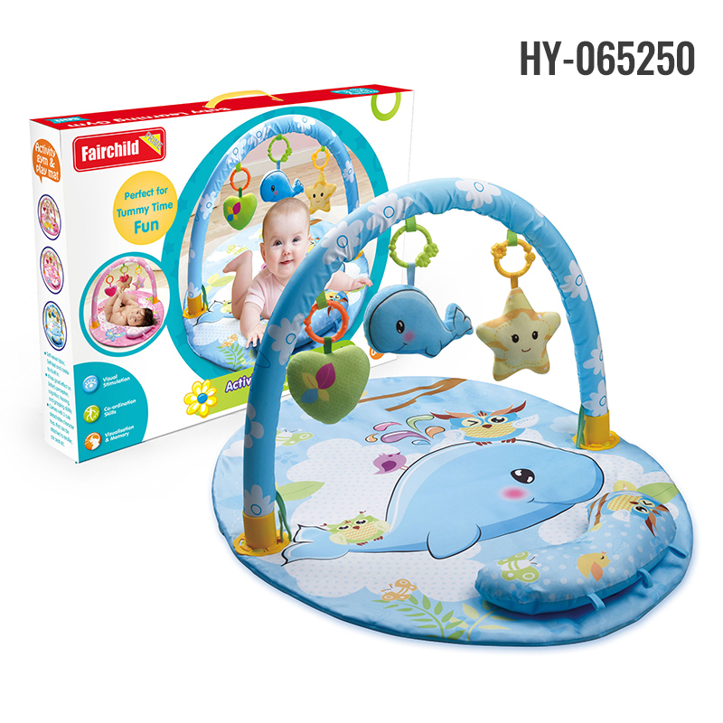HY-065250 play gym