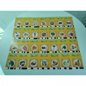 Custom 112PCS Talking Flash Cards Kids Electric Spanish-English Sight Words Learning Machine Autism Child Speech Therapy Toy