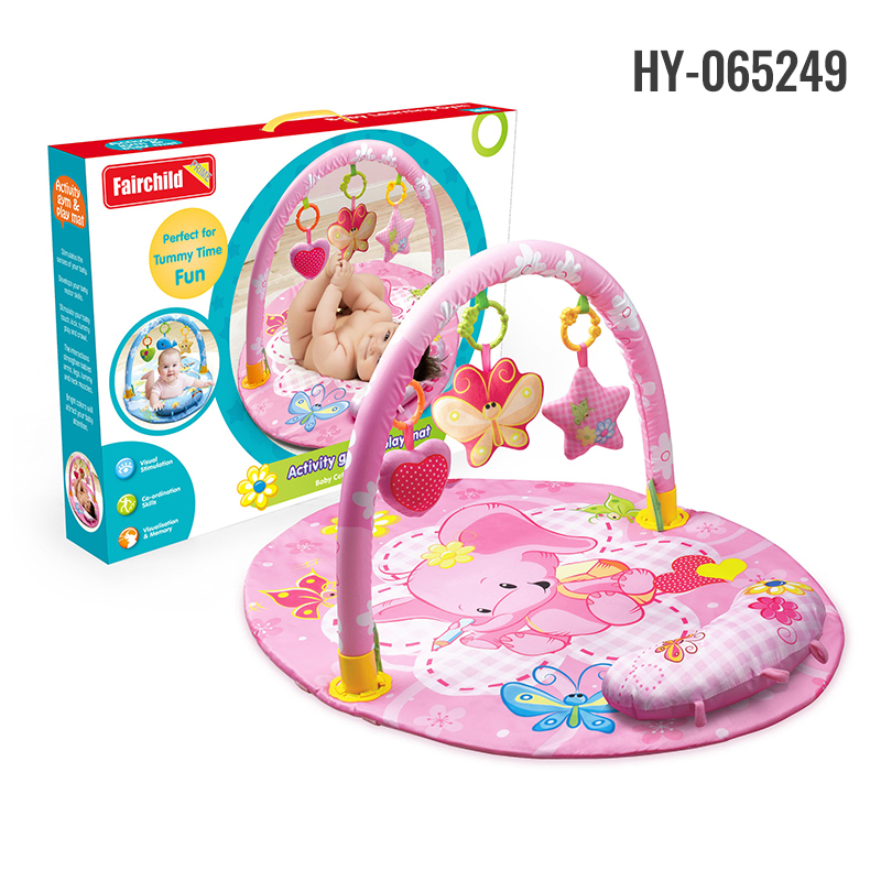 HY-065249 Play Gym