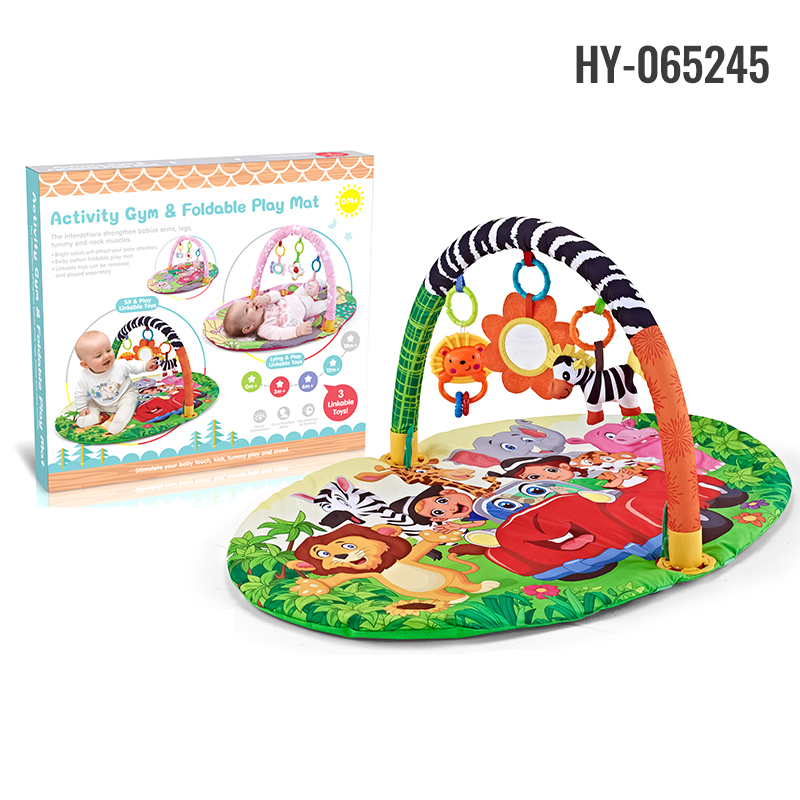 HY-065245 play gym