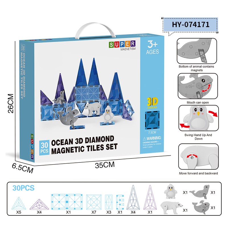 HY-074171 Magnetic Tiles