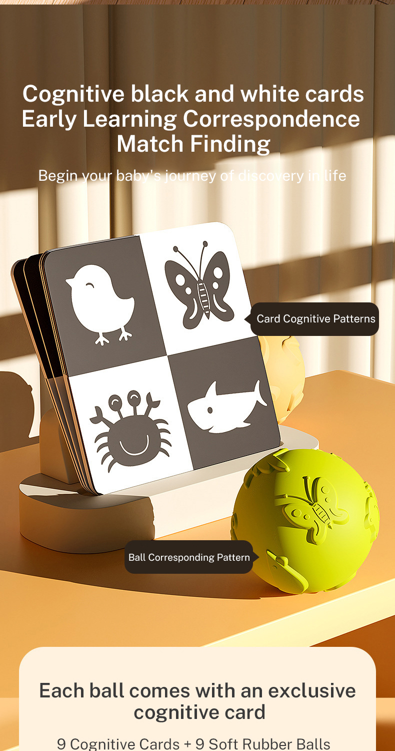 Matching Game Toys (2)