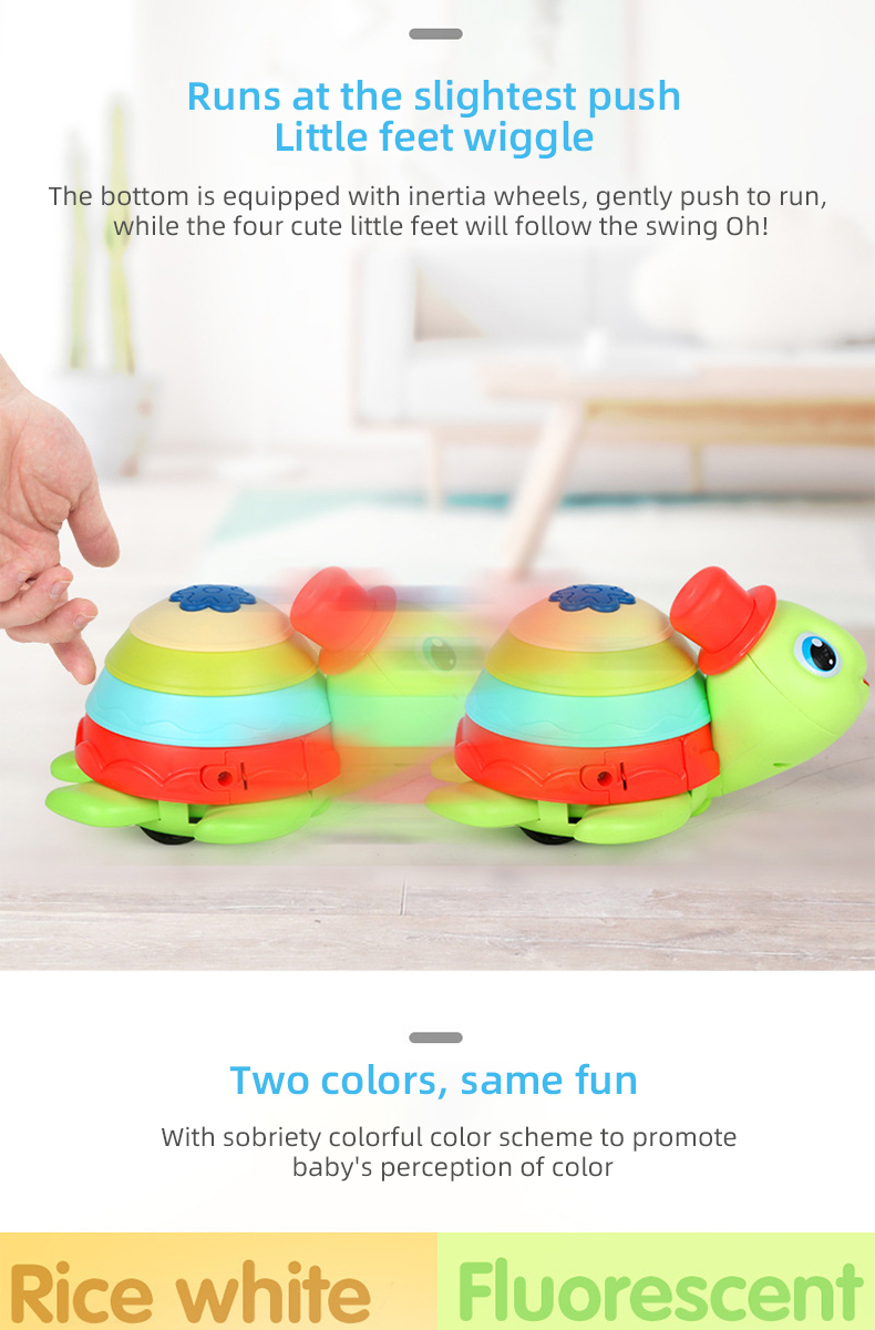 Turtle Toy (5)