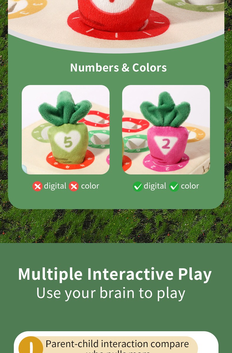 Radish Pulling Toy (3)