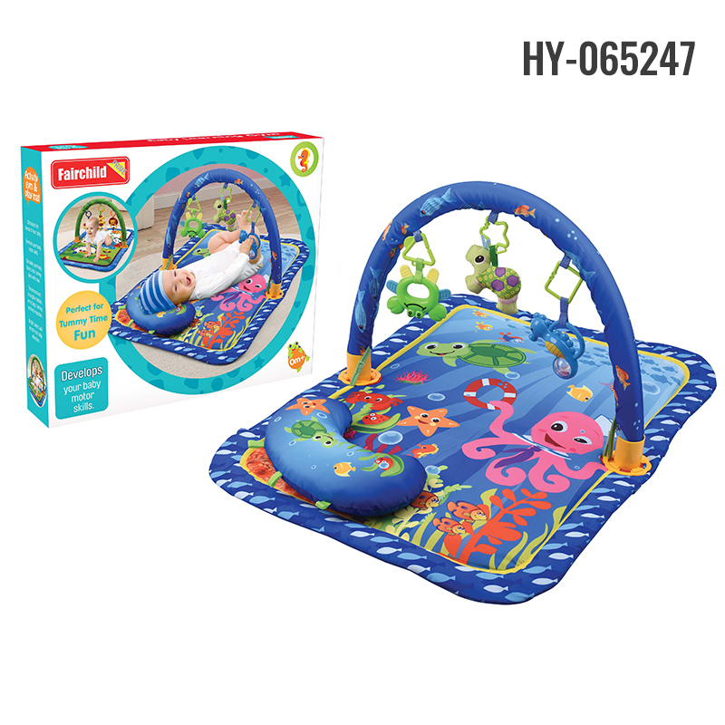 HY-065247 play gym