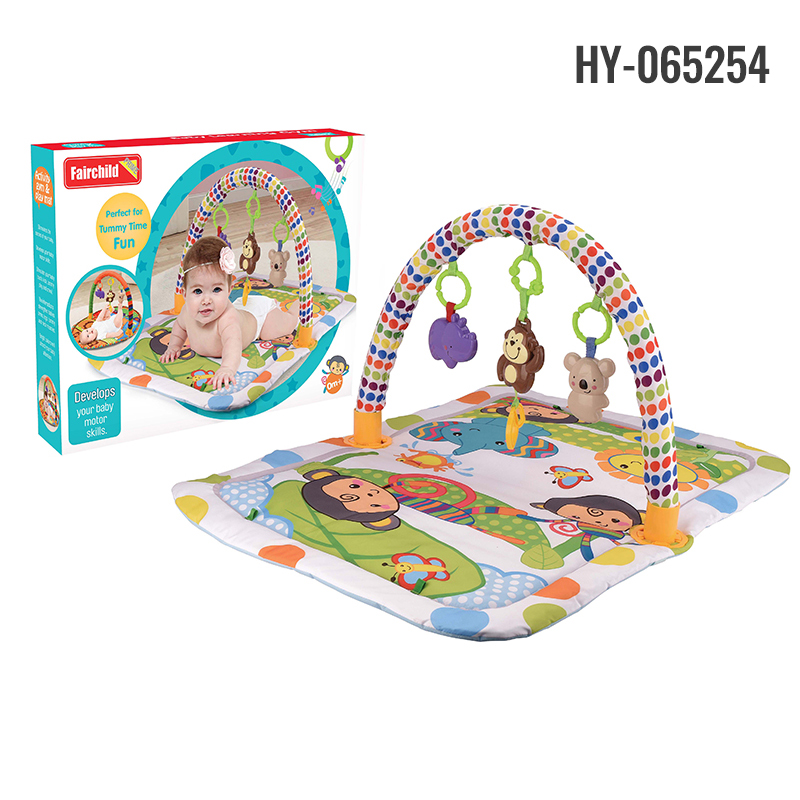 HY-065254 play gym