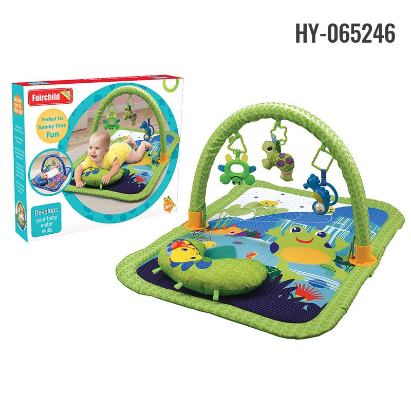 HY-065246 play gym