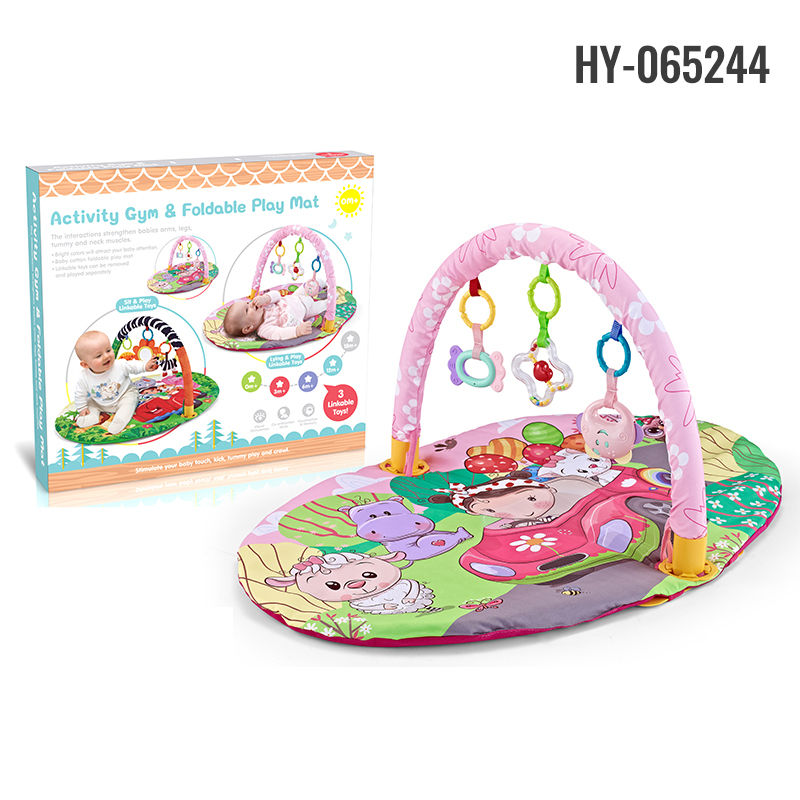 HY-065244 play gym