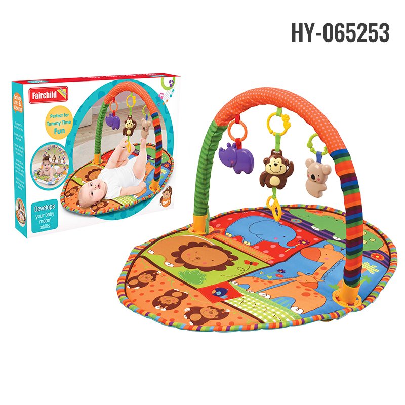 HY-065253 play gym