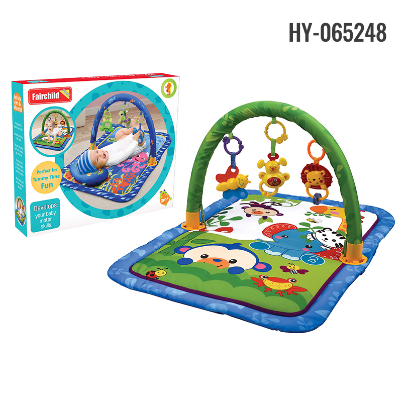 HY-065248 play gym