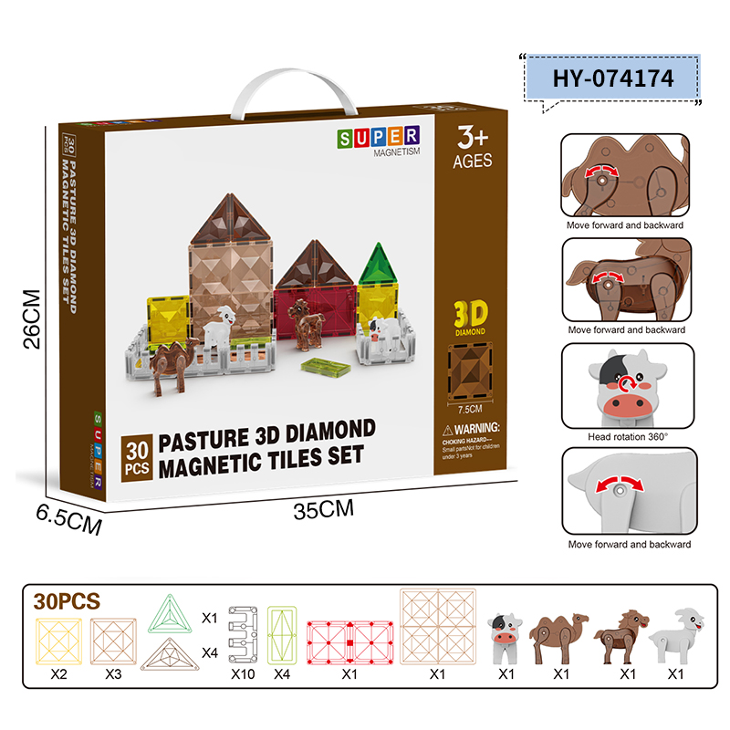 HY-074174 Magnetic Tiles